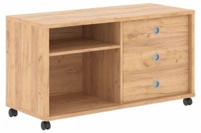 Тумба комбинированная Born B 202A в Заречном - zarechnyy.mebel24.online | фото