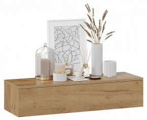 Тумба навесная Тип 2 в Заречном - zarechnyy.mebel24.online | фото 2