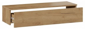 Тумба навесная Тип 2 в Заречном - zarechnyy.mebel24.online | фото 3