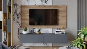 Тумба под ТВ Порто ТД-393.03.11 в Заречном - zarechnyy.mebel24.online | фото 7