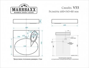 Умывальник над стиральной машиной (600*545*80) Смайл V55D1 (белый) с кронштейном без сифона (V55D1) в Заречном - zarechnyy.mebel24.online | фото 2