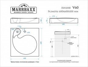 Умывальник над стиральной машиной (600*600х100) Лилия V60 (белый) с кронштейном без сифона (V60) в Заречном - zarechnyy.mebel24.online | фото 2