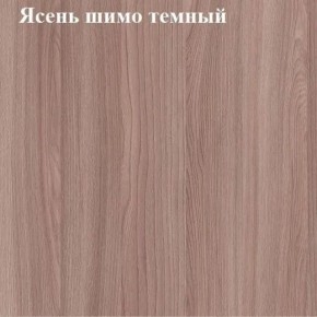 Вешалка для одежды (Ясень шимо темный) в Заречном - zarechnyy.mebel24.online | фото 2